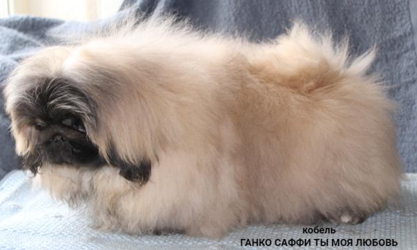 Прикрепленное изображение: т7.JPG